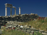 Temple of Apollo, Delos, UNESCO World Heritage Site, Greek Islands, Greece, Europe Photographic Print by Woolfitt Adam