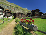 Red Geraniums Beside Path into Village, Zum See, Zermatt, Valais, Switzerland, Europe Photographic Print by Tomlinson Ruth