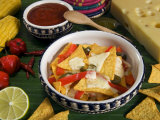 Cheese Nachos, Mexican Food, Mexico, North America Photographic Print by Tondini Nico