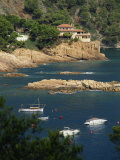 Rocky Coastline, Aiguablava, Costa Brava, Gerona, Cataluna, Spain, Mediterranean, Europe Photographic Print by Tomlinson Ruth