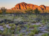 Domes, Bungle Bungle, Purnululu National Park, Kimberley, Western Australia, Australia, Pacific Photographic Print by Schlenker Jochen