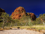 Bungle Bungle, Purnululu National Park, Kimberley, Western Australia, Australia, Pacific Photographic Print by Schlenker Jochen