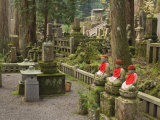 Okunoin Graveyard Containing 20000 Buddhist Gravestones, Koya-San, Kansai, Honshu, Japan Photographic Print by Schlenker Jochen