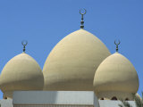 Domes of the Ber Dubai Mosque, Dubai, United Arab Emirates, Middle East Photographic Print by Waltham Tony