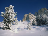 Passo Sella in the Val Di Fassa in Winter, the Dolomites, Italy Photographic Print by Teegan Tom