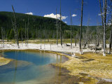 Hot Pool and Geyerite Deposits, Black Sands Basin, Yellowstone National Park, Wyoming, USA Photographic Print by Waltham Tony