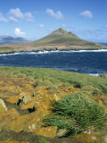 Steeple Jason, One of the Most Remote Islands, Falkland Islands, South Atlantic, South America Photographic Print by Renner Geoff