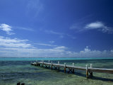 Waves Breaking on Reef on the Horizon, with Jetty in Foreground, Grand Cayman, Cayman Islands Photographic Print by Tomlinson Ruth
