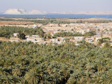 Birket Siwa, Siwa Oasis, Western Desert, Egypt, North Africa, Africa Photographic Print by Schlenker Jochen