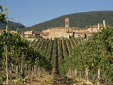 Vineyard in the Chianti Classico Region North of Siena, Tuscany, Italy, Europe Photographic Print by Short Michael