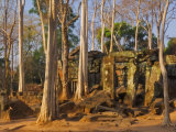 Prasat Thom Temple, Koh Ker, Cambodia, Indochina, Southeast Asia Photographic Print by Schlenker Jochen