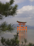 Floating Torii, Viewed Through Pine Tree, Itsuku Shima Jinja, Miyajima, Honshu, Japan Photographic Print by Simanor Eitan