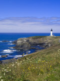 Yaquina Head Lighthouse, Oregon, United States of America, North America Photographic Print by DeFreitas Michael