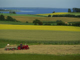 Tractor in Field at Harvest Time, East of Faborg, Funen Island, Denmark, Scandinavia, Europe Photographic Print by Woolfitt Adam