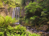 Hopetoun Falls, Great Otway National Park, Victoria, Australia, Pacific Photographic Print by Schlenker Jochen