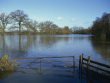 Flooding of Fields from River Severn Near Tirley, Gloucestershire, England, United Kingdom, Europe Photographic Print by Short Michael