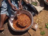 Woman Sorting Chili Peppers in a Metal Bowl, Ghana, West Africa, Africa Photographic Print by Taylor Liba