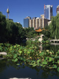 Lake in the Chinese Garden at Darling Harbour, Sydney, New South Wales, Australia Photographic Print by Richardson Rolf