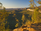 Carnarvon Gorge, Carnarvon National Park, Queensland, Australia, Pacific Photographic Print by Schlenker Jochen