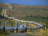 Trans Alaska Oil Pipeline, Alaska, USA Photographic Print by Waltham Tony