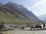 Mud, Pin Valley, Spiti, Himachal Pradesh, India Photographic Print by Simanor Eitan