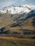 Tundra Landscape, Denali National Park, Alaska, USA Photographic Print by Waltham Tony