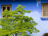 Cheong Fatt Tze Mansion, Georgetown, Penang, Malaysia, Southeast Asia Photographic Print by Porteous Rod