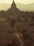 Horse-Drawn Buggy Tearing across Plain at Dusk, Bagan, Myanmar Photographic Print by Strachan James