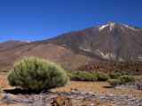 Mount Teide, Parque Nacional De Las Canadas Del Teide Tenerife, Canary Islands Photographic Print by White Gary