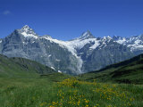 Wetterhorn and Schreckhorn Viewed from First in the Bernese Oberland, Switzerland, Europe Photographic Print by Merten Hans Peter