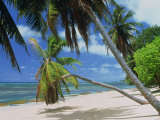 Praslin Beach, Seychelles, Indian Ocean, Africa Photographic Print by Merten Hans Peter