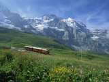 Wild Flowers on the Slopes Beside the Jungfrau Railway with the Jungfrau Beyond, Switzerland Photographic Print by Merten Hans Peter