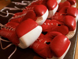 Boxing Gloves Fotografisk tryk