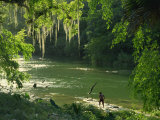 Macac River Running Through Rainforest at Old Man's Beard, Belize, Central America Photographie par Macleod Iain