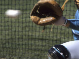 Detail of Baseball and Catchers Mitt Photographic Print