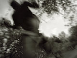 African American Male on a Training Run, New York, New York, USA Photographic Print by Chris Trotman