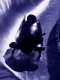 Silhouette of Bobsled in Action, Park City, Utah, USA Photographic Print by Chris Trotman