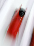 Two Man Bobsled in Action, Torino, Italy Photographic Print by Chris Trotman