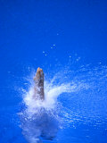 Divers Feet at Monment of Imapct into the Water, Athens, Greece Photographic Print by Paul Sutton