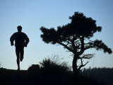 Silhouette of Runner and Tree Fotografisk tryk Silhouette of Runner and Tree Fotografisk tryk
