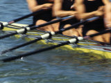 Detail of Rowers in Action Photographic Print