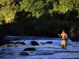 Fly Fisherman Photographic Print