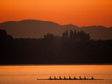 Silhouette of Men's Eights Rowing Team in Action, Vancouver Lake, Washington, USA Photographic Print