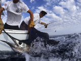 Deep Sea Fisherman Catching a Swordfish Photographic Print