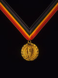 Gold Medal Photographic Print by Paul Sutton