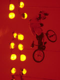 Bmx Cyclist Photographic Print by Paul Sutton