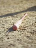 Baseball Bat Photographic Print by Chris Trotman