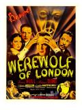 Werewolf of London, Valerie Hobson, Lester Matthews, Warren Hull, Warner Oland, 1935 Posters Werewolf of London, Valerie Hobson, Lester Matthews, Warren Hull, Warner Oland, 1935 Posters