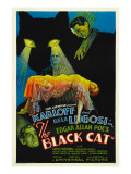 The Black Cat, Boris Karloff, Harry Cording, Jacqueline Wells, Bela Lugosi, 1934 Pósters The Black Cat, Boris Karloff, Harry Cording, Jacqueline Wells, Bela Lugosi, 1934 Pósters