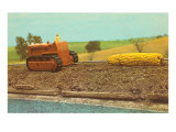 Tractor Hauling Giant Ear of Corn Lámina giclée